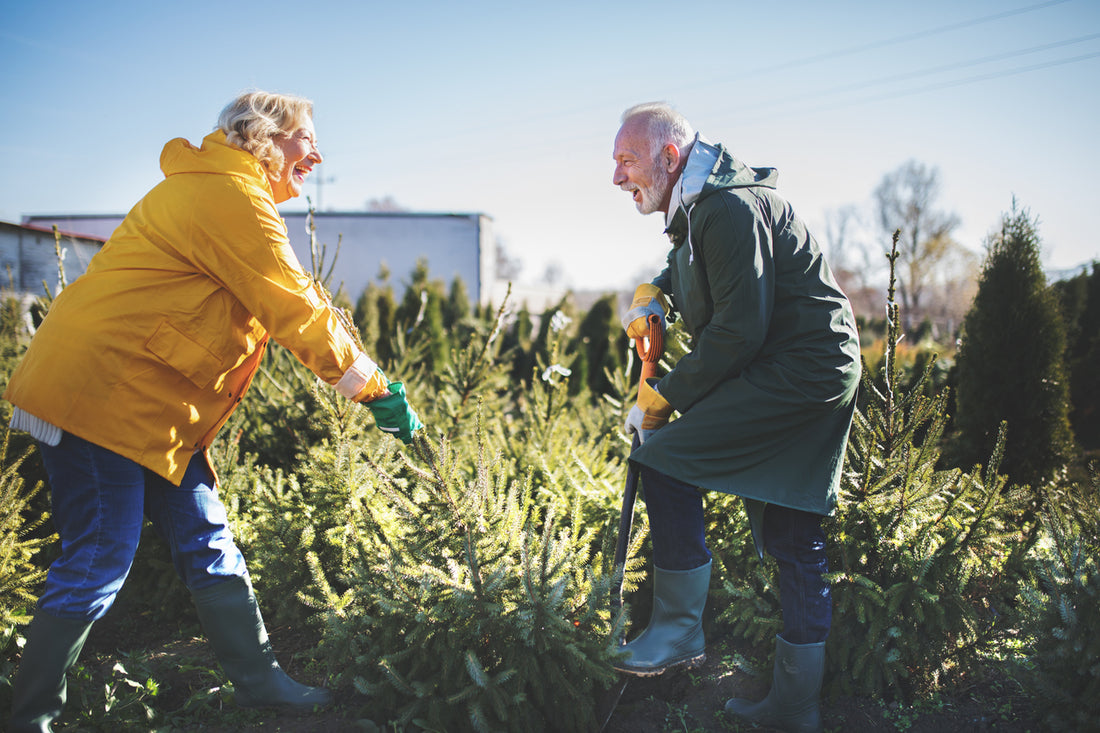 Winter Gardening Activities to Warm both Body and Spirit 🌿❄️